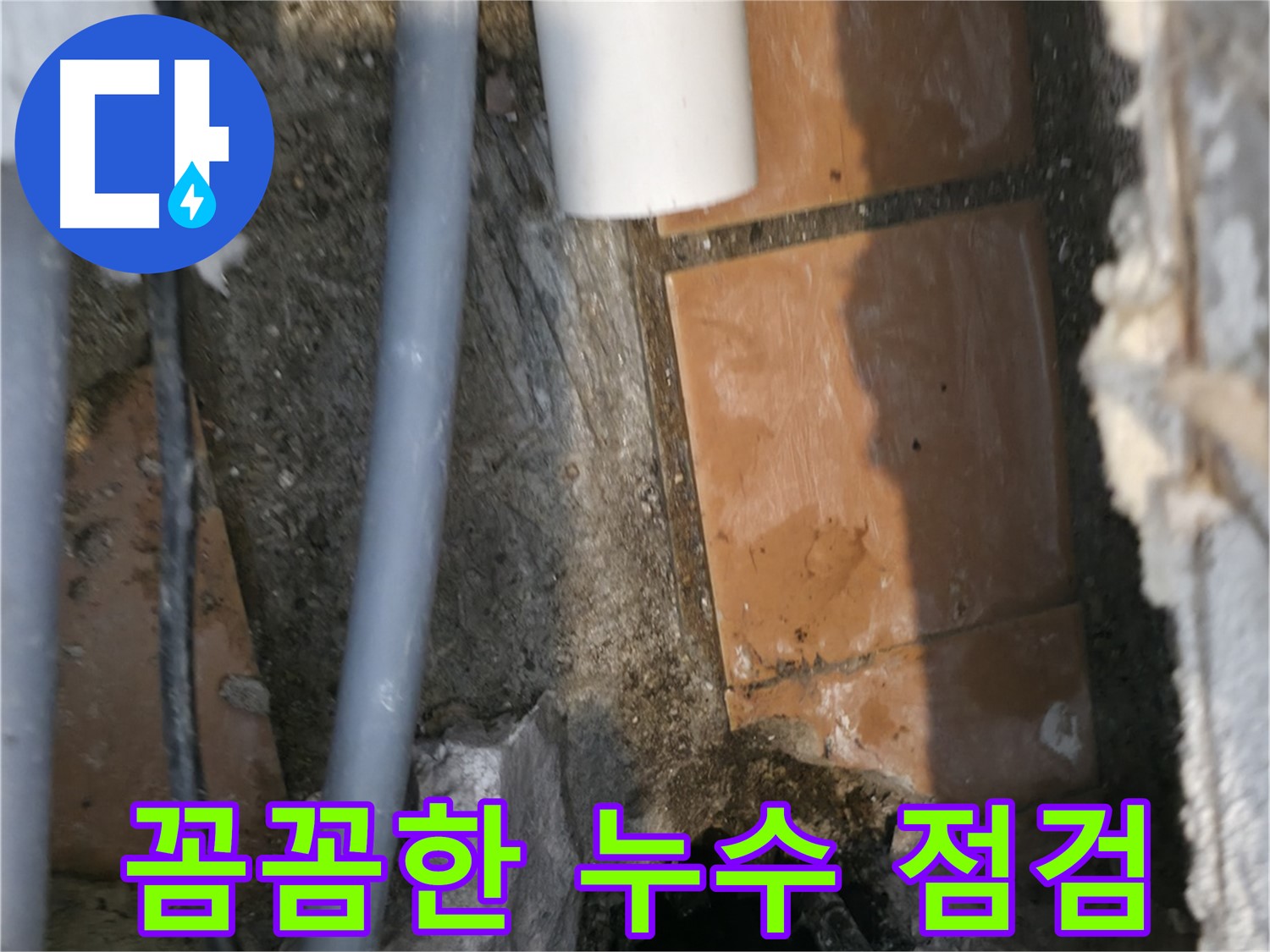 신림동 하이츠빌라 303호 누수 - 꼼꼼한 누수 점검으로 문제 파악 중