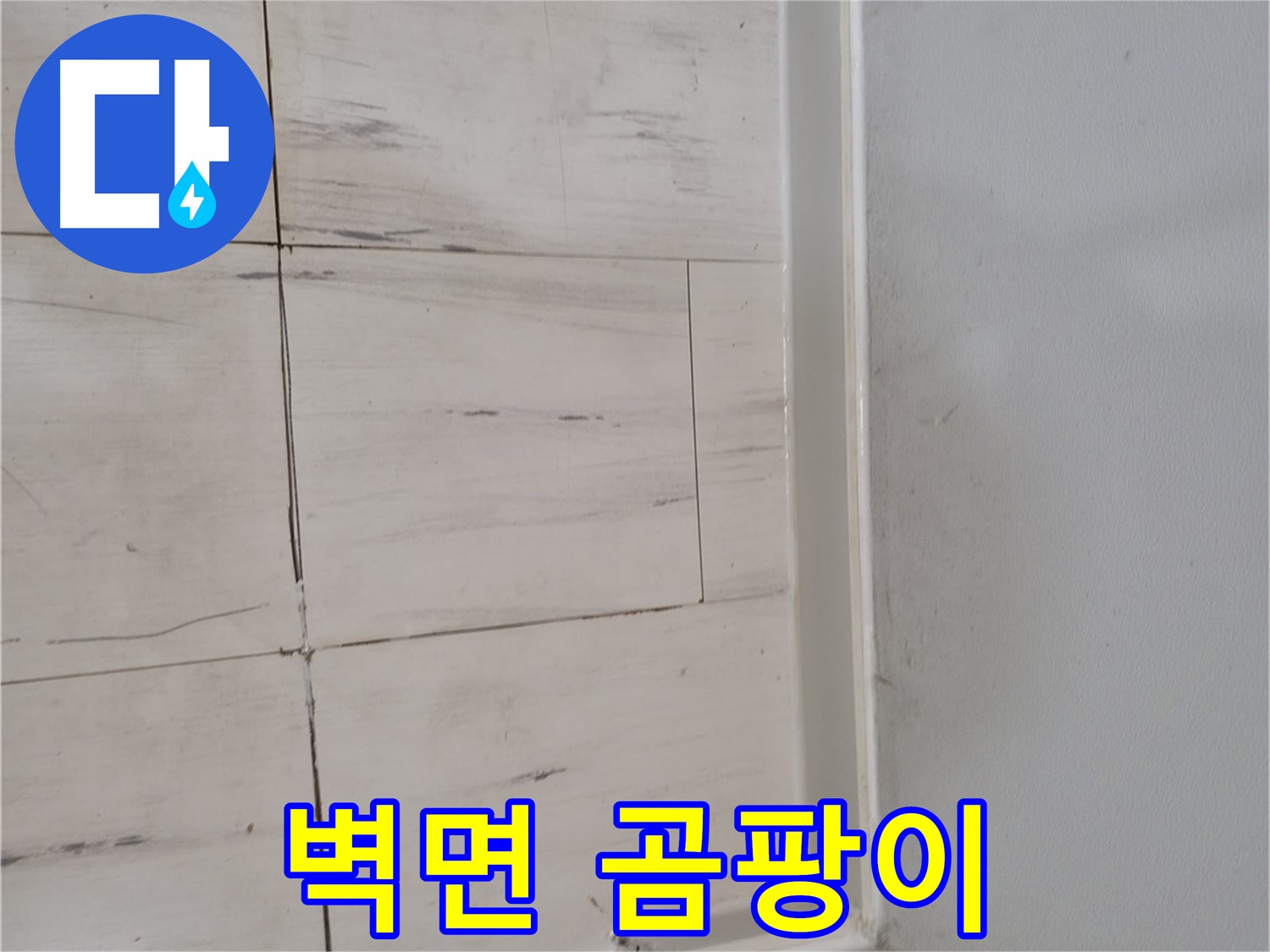 벽면 곰팡이 - 누수 심각성