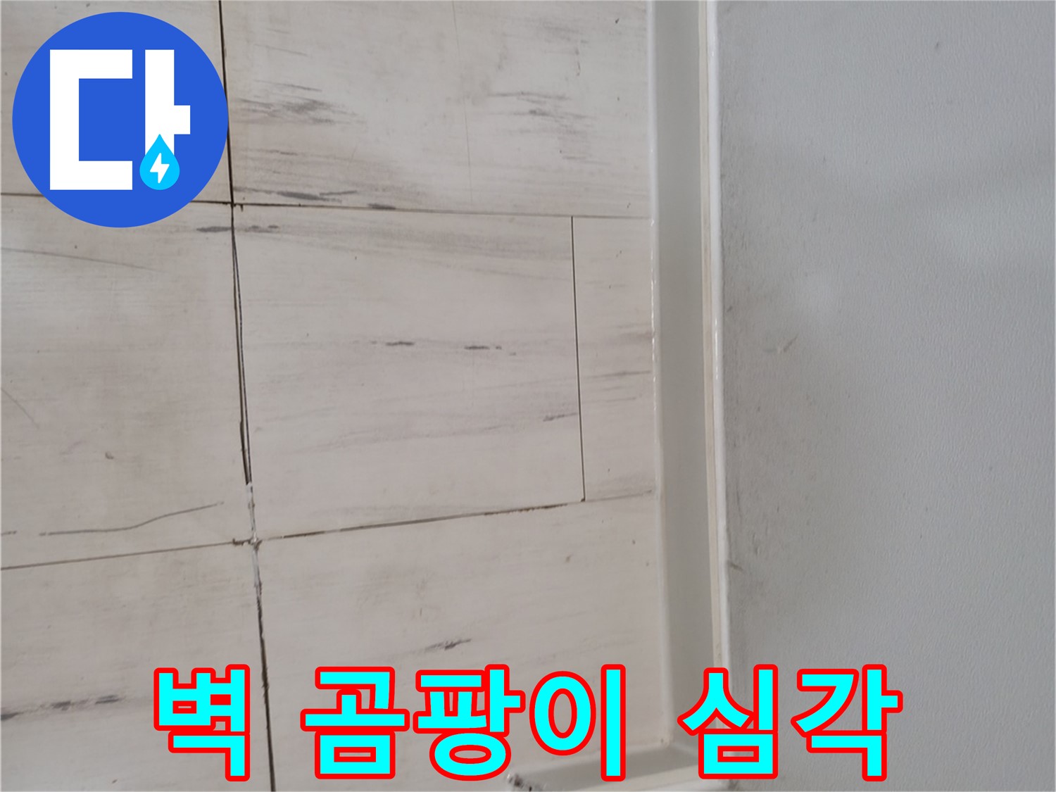 벽 곰팡이 - 심각한 오염