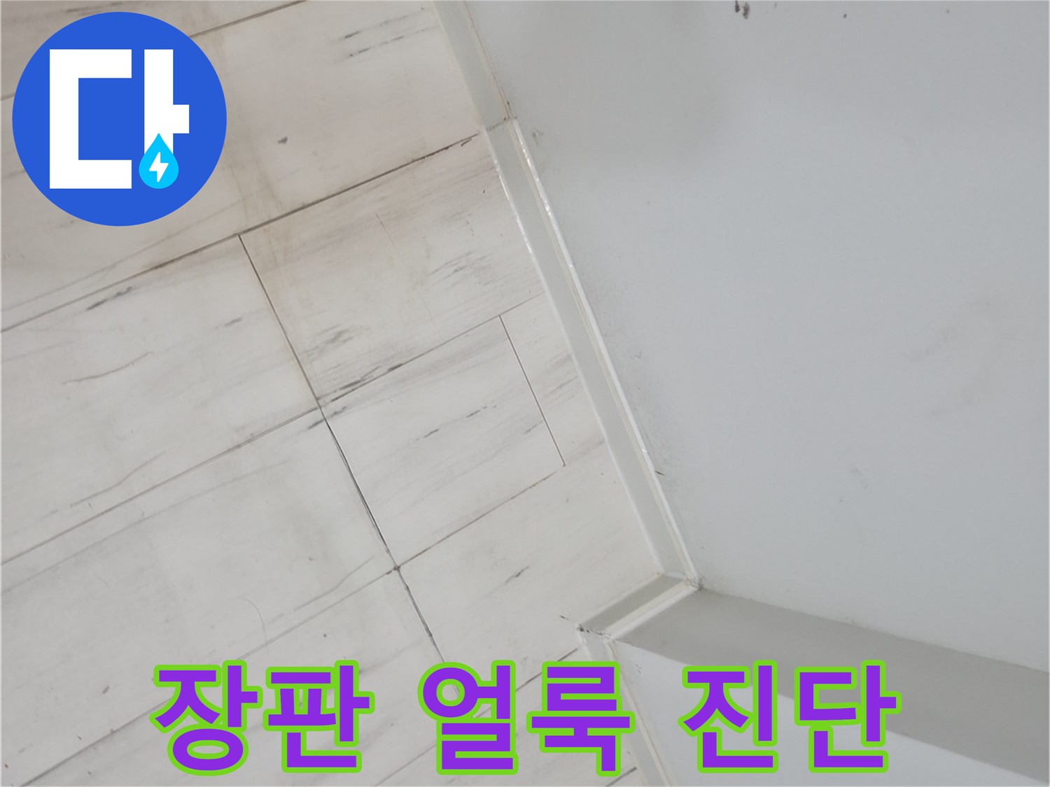 신림동 장판 얼룩 누수 원인 진단 현장