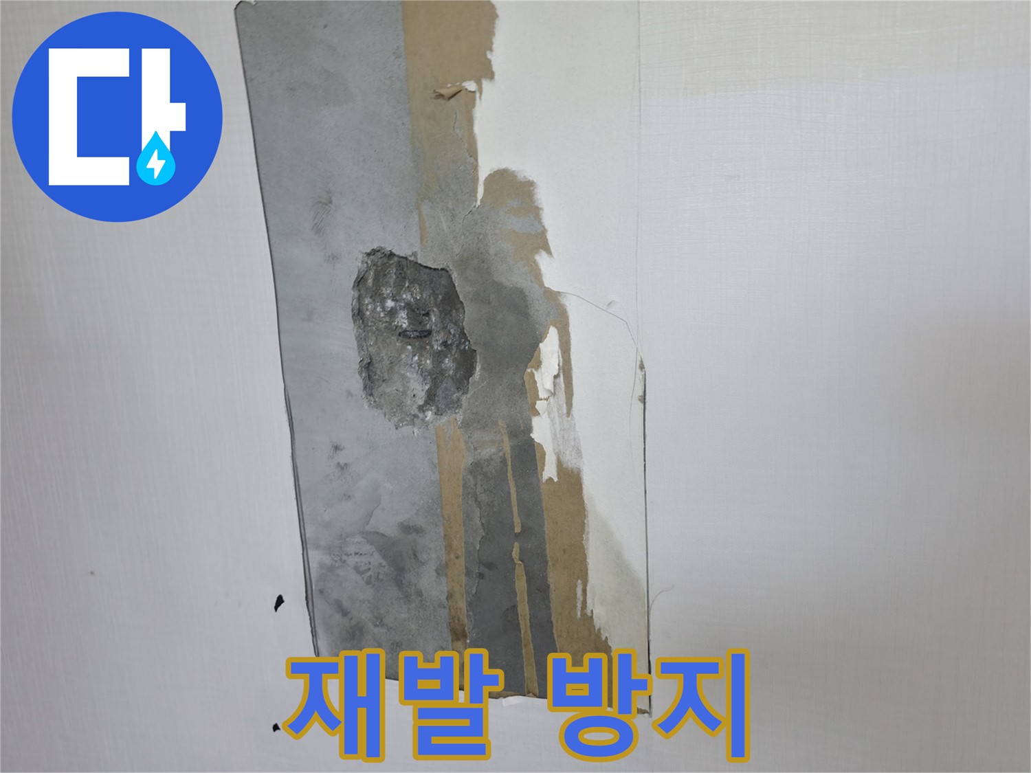 성북동 스카이힐스테이 누수 - 내시경 검사를 통한 재발 방지