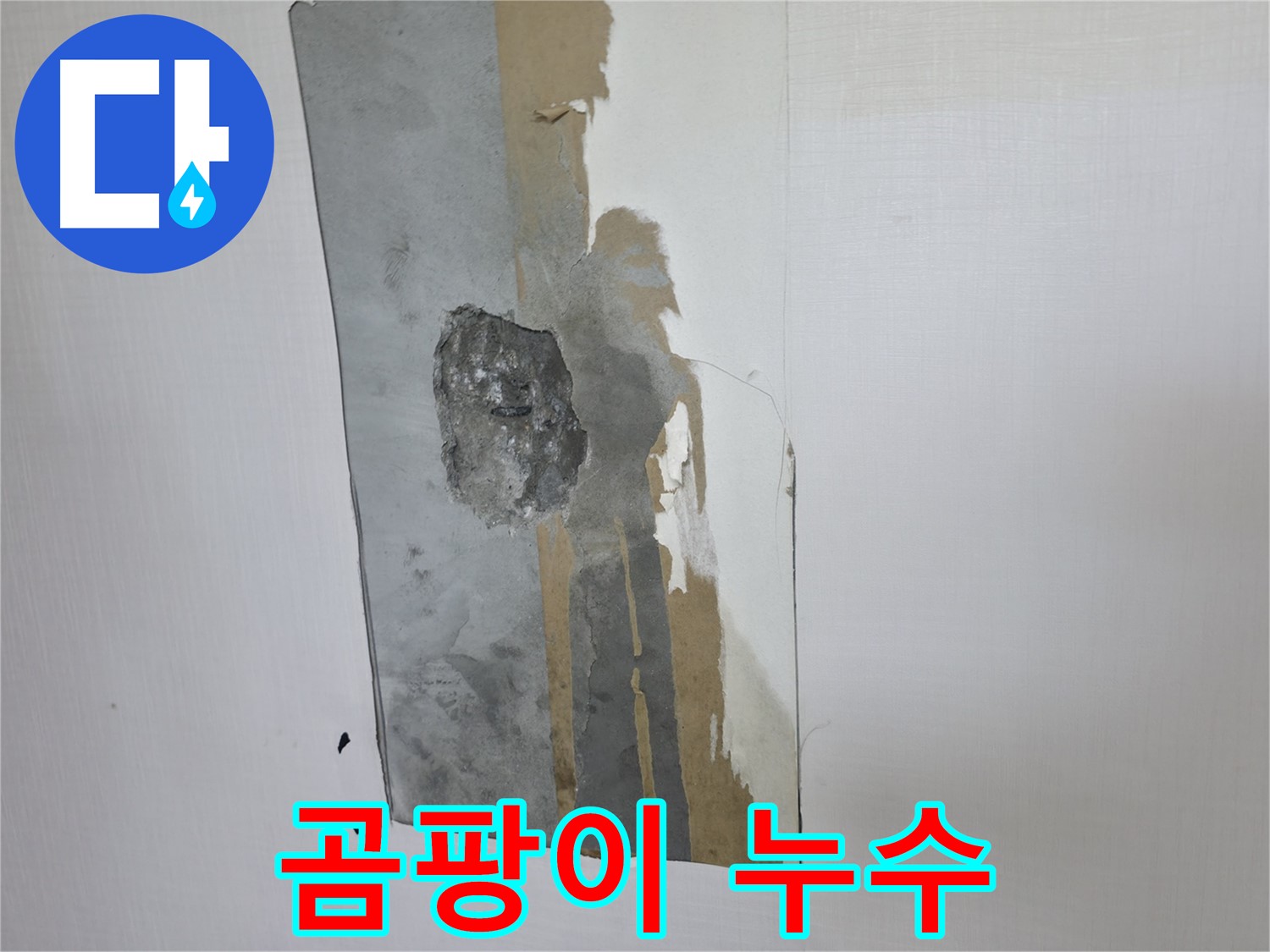 성북동 주택 벽 속 곰팡이 - 노후 배관으로 인한 누수가 원인입니다