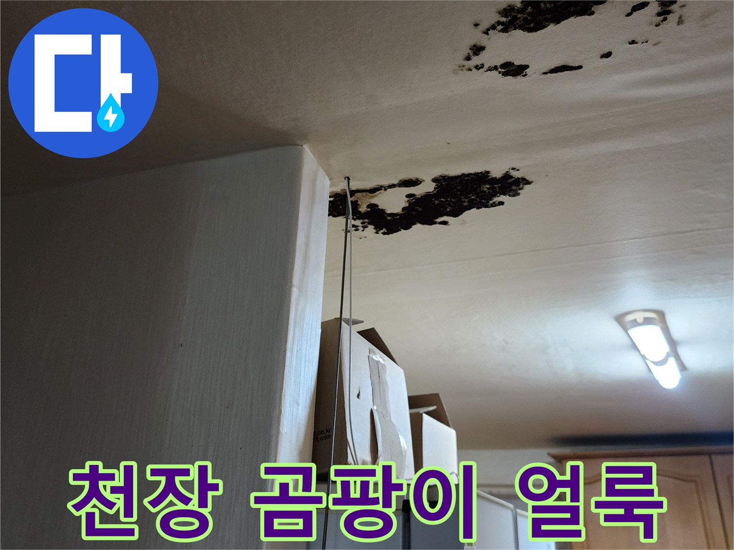 검은 곰팡이가 심하게 번진 주방 천장 마감재