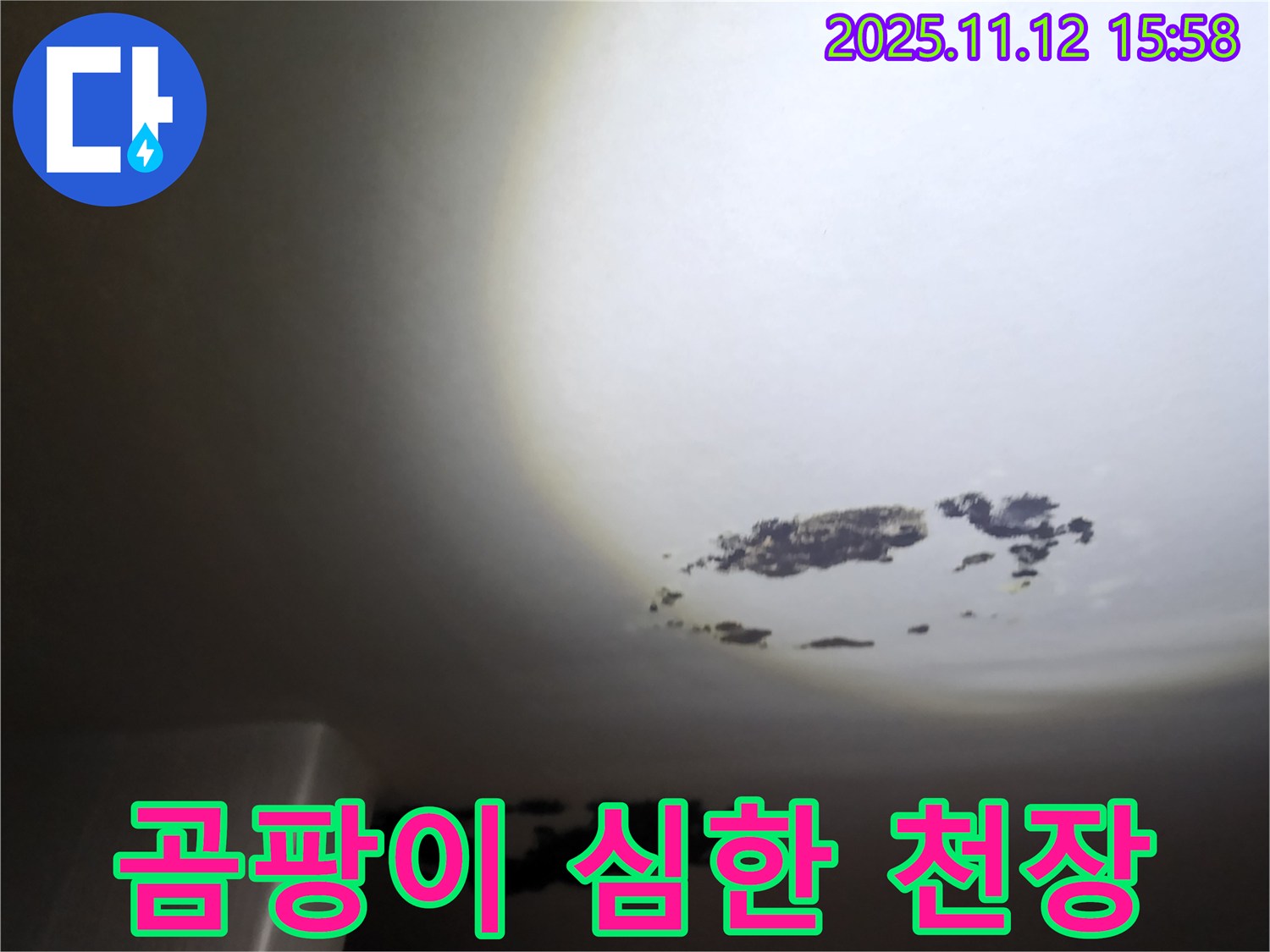 구읍리 - 곰팡이가 심하게 핀 천장 누수 현장