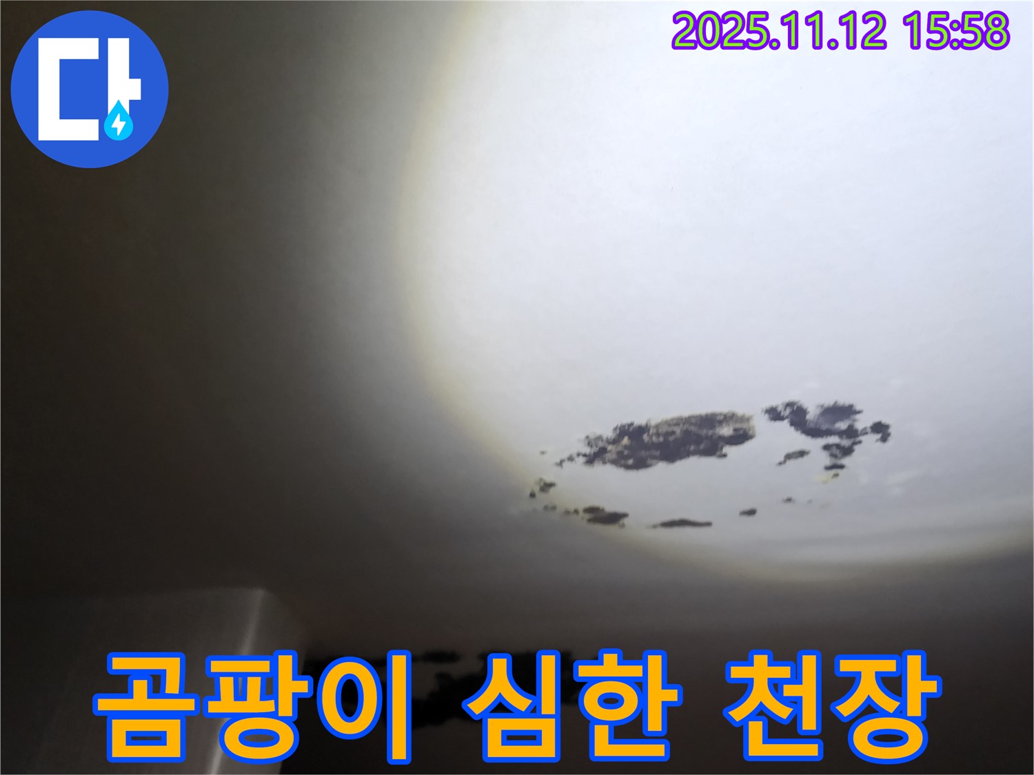 구읍리 - 곰팡이가 심하게 핀 천장 누수 현장