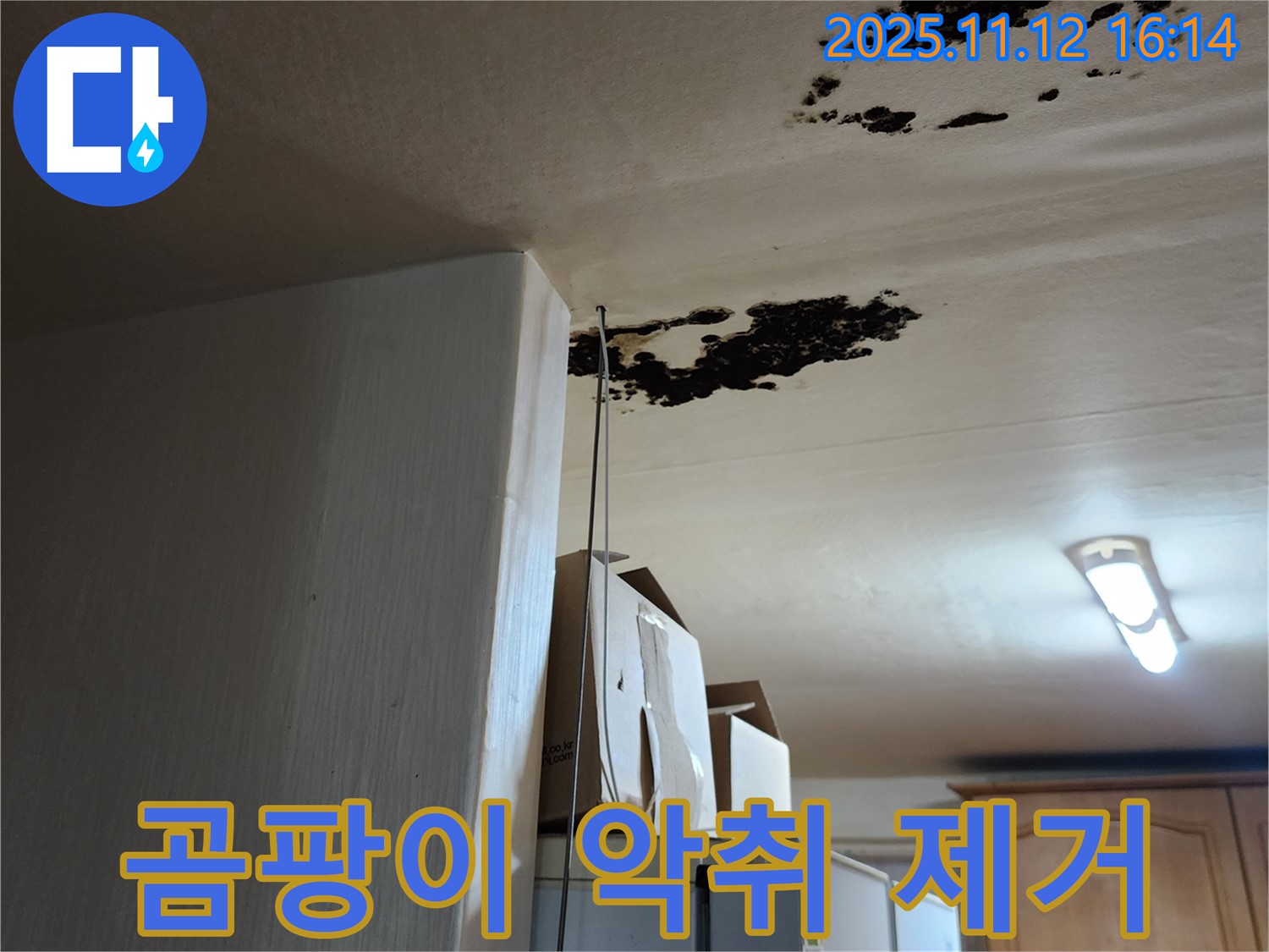 구읍리 누수 - 곰팡이, 악취 완벽 제거 시공