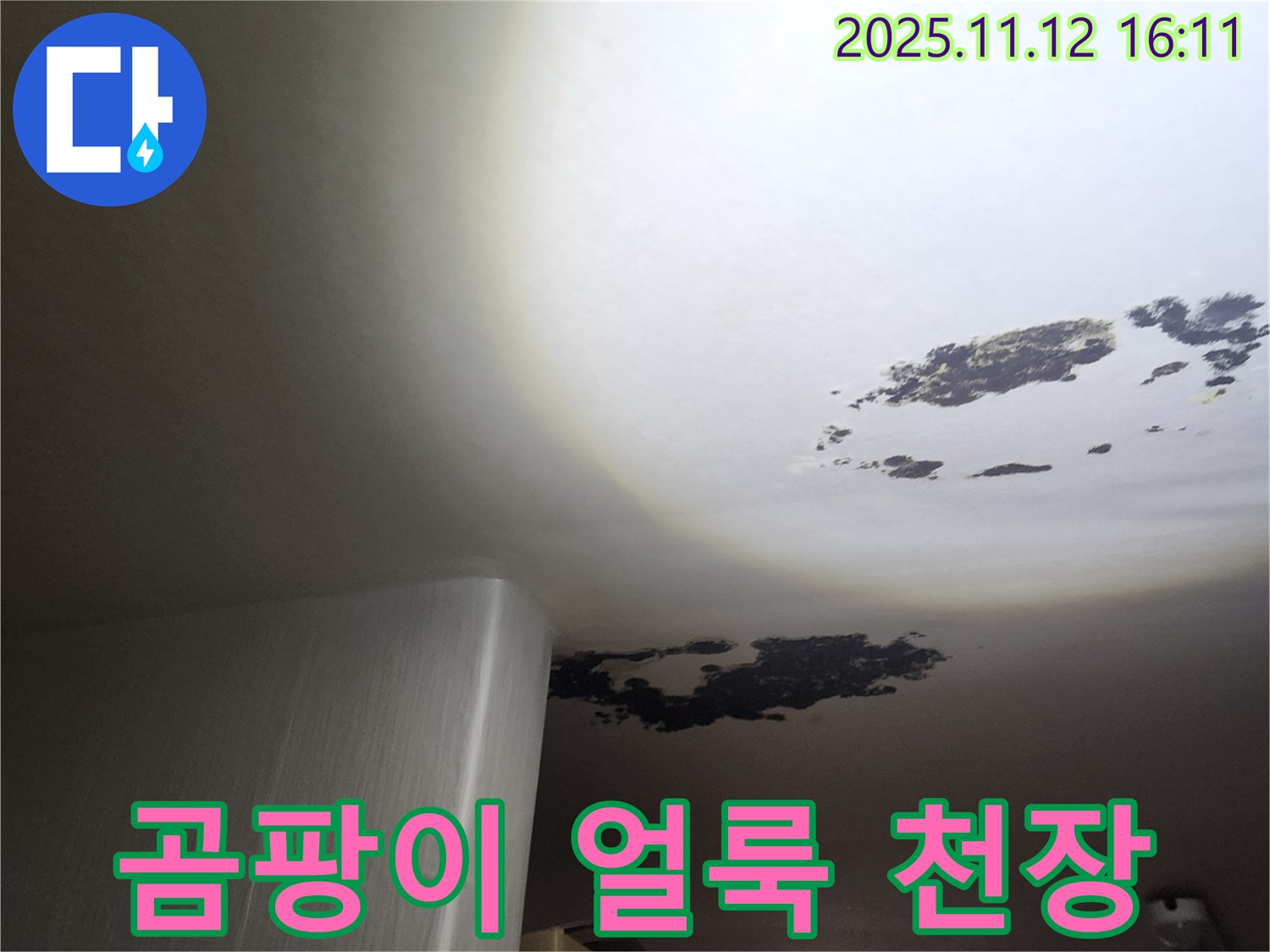 구읍리 누수 - 곰팡이 얼룩으로 뒤덮인 천장