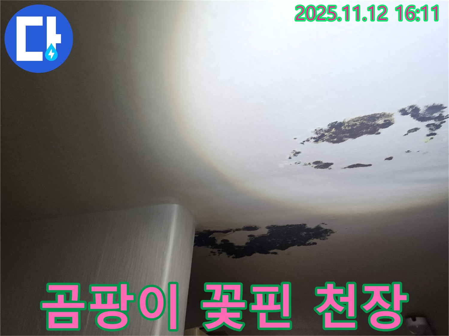 구읍리 누수 - 곰팡이가 만개한 천장, 누수가 원인