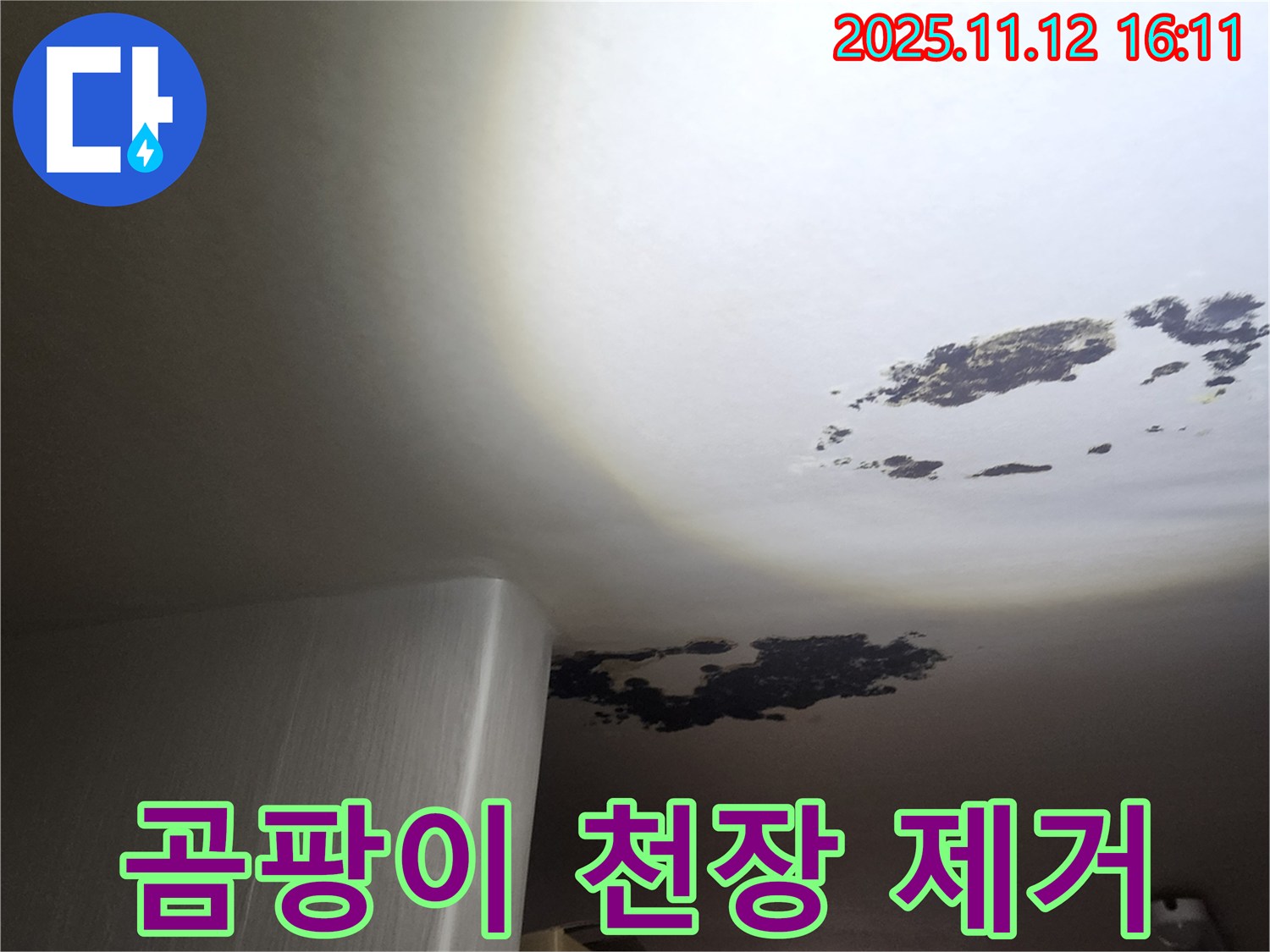 구읍리 누수 - 곰팡이로 뒤덮인 천장 완벽 제거