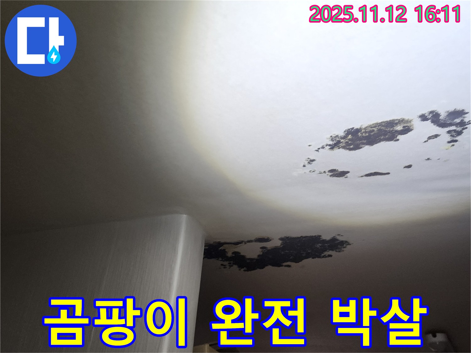 구읍리 누수 - 곰팡이로 뒤덮인 천장 완전 박살