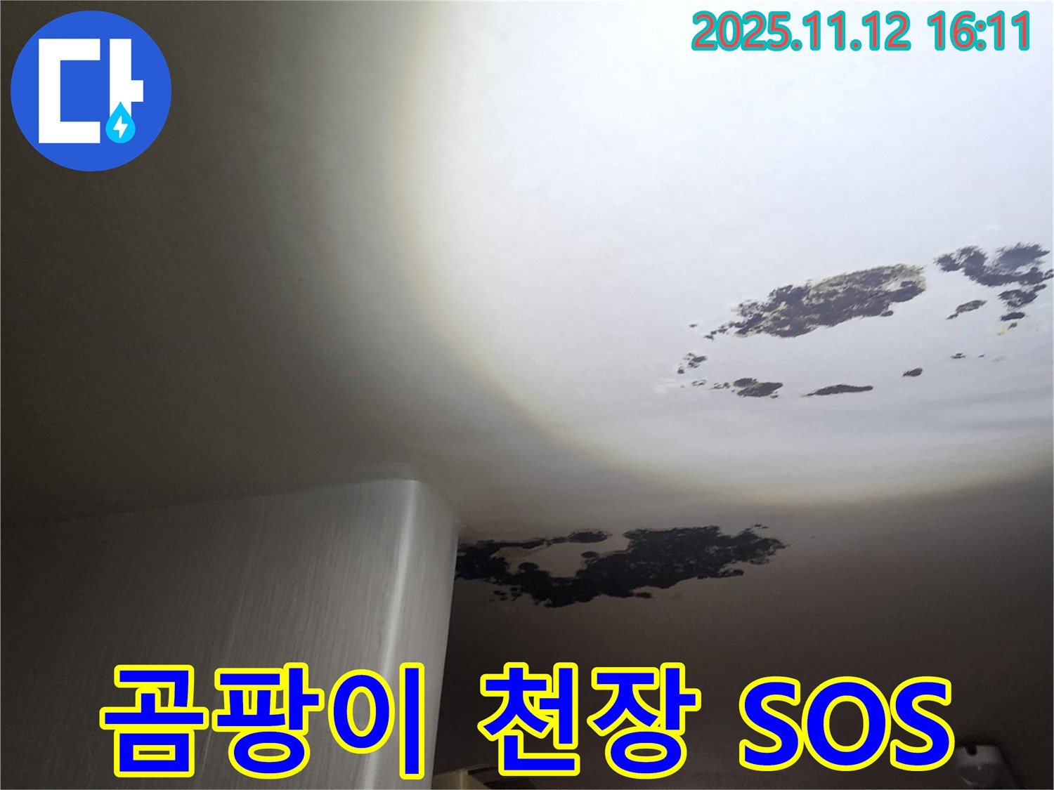 구읍리 누수 - 곰팡이로 뒤덮인 천장의 긴급 상황