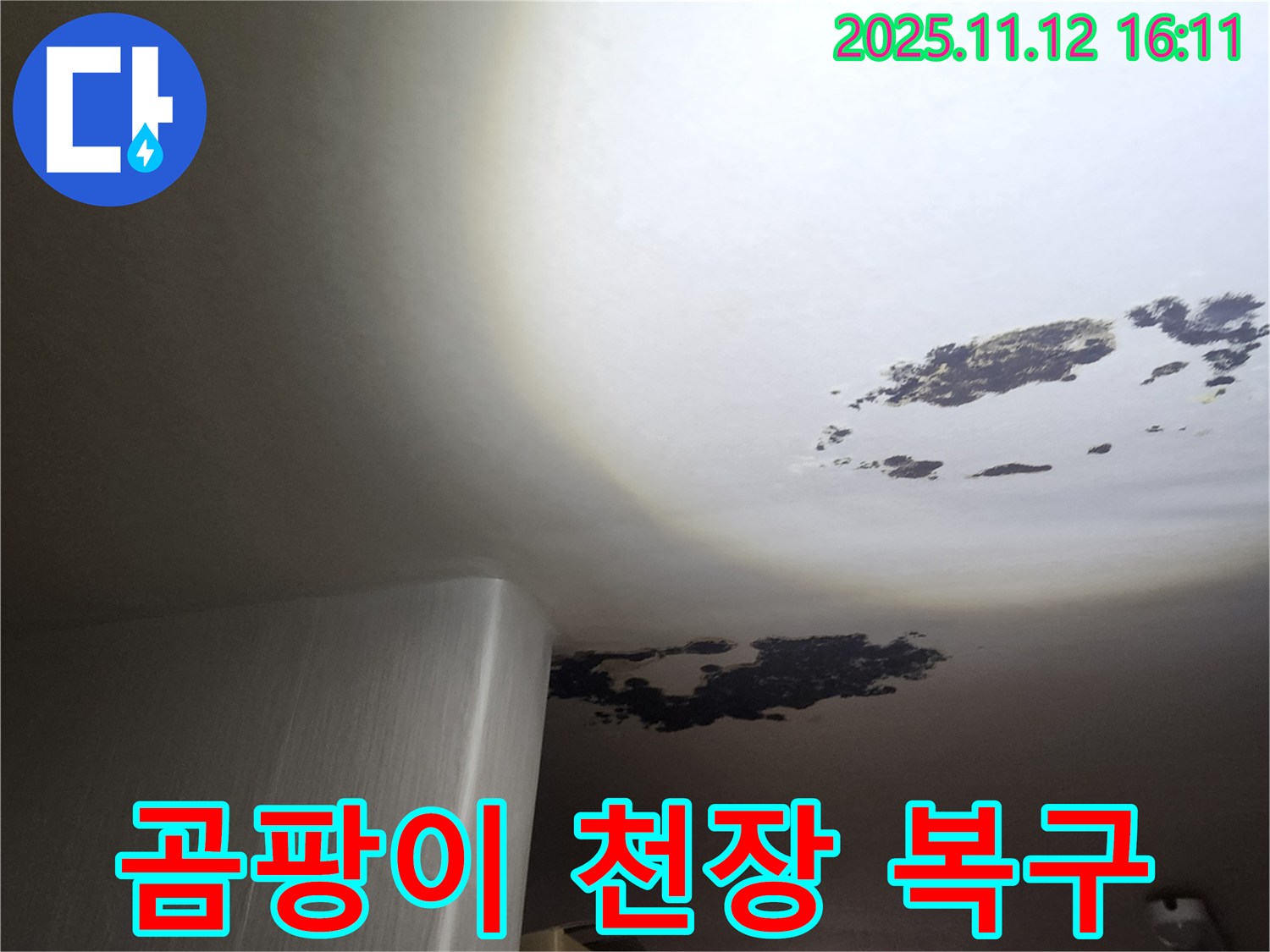 구읍리 누수 - 곰팡이로 오염된 천장 긴급 복구 현장