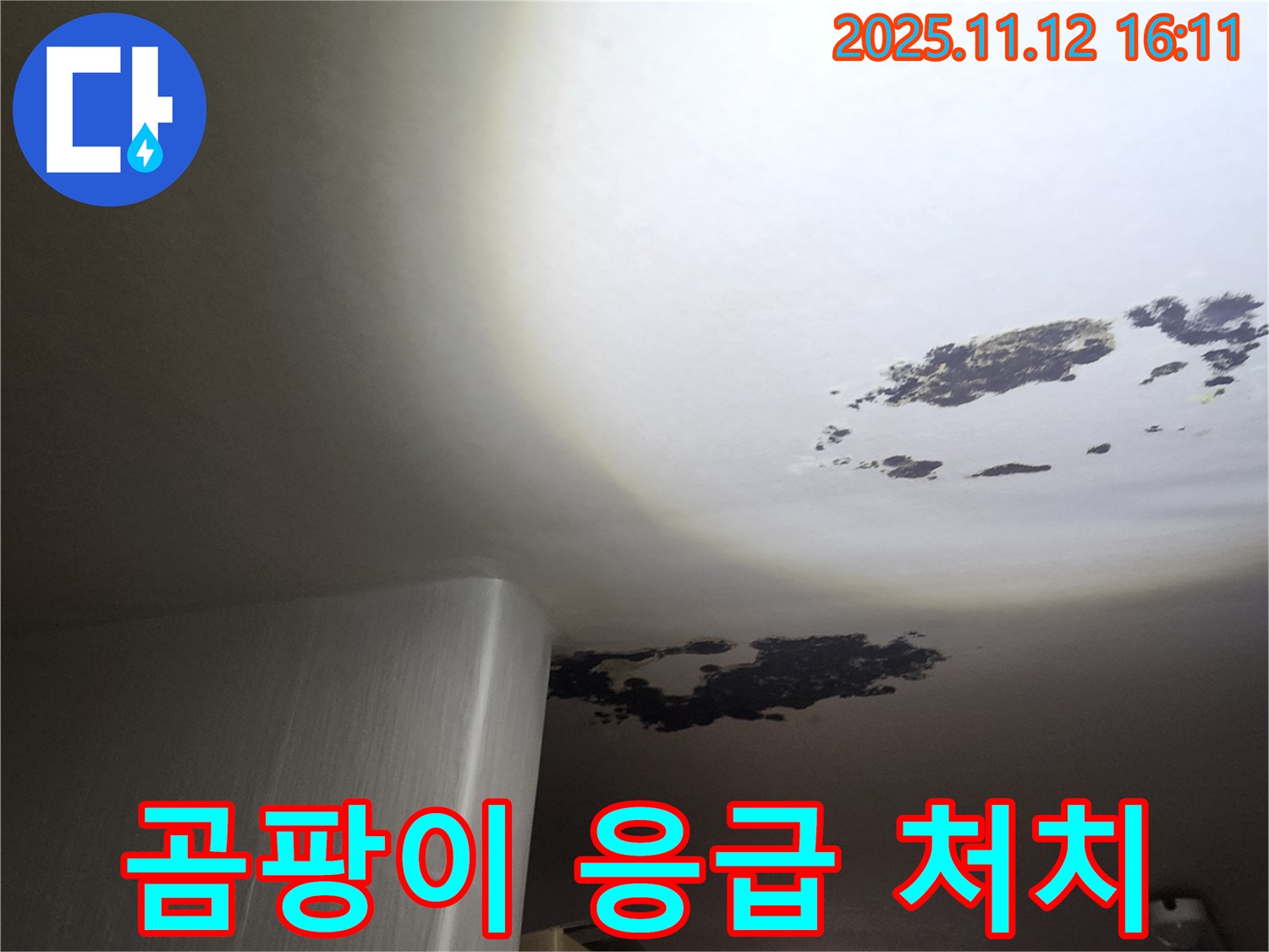 구읍리 누수 - 곰팡이로 오염된 천장 응급 처치 현장