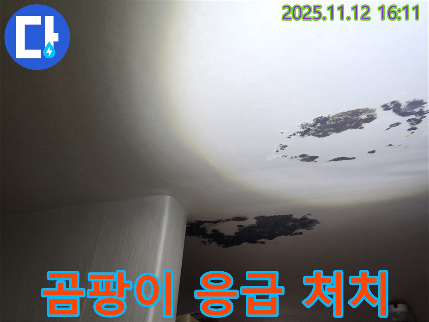 구읍리 누수 - 곰팡이로 오염된 천장 응급 처치 현장