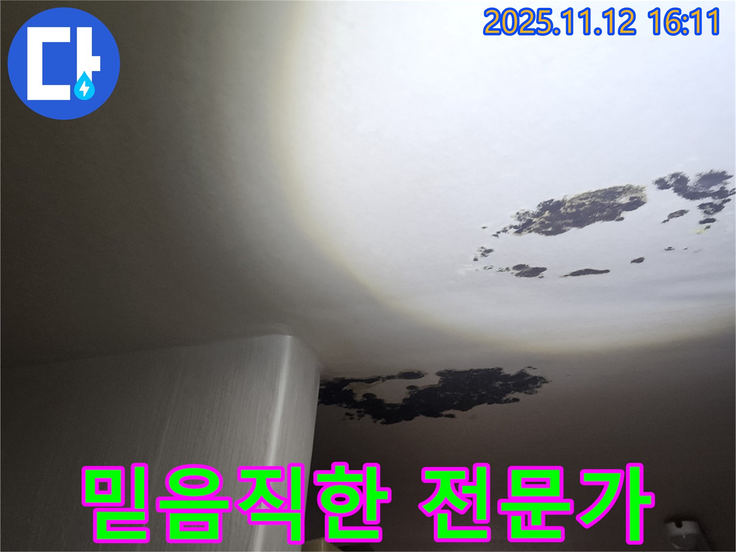 구읍리 누수 - 믿음직한 누수 전문가의 곰팡이 해결