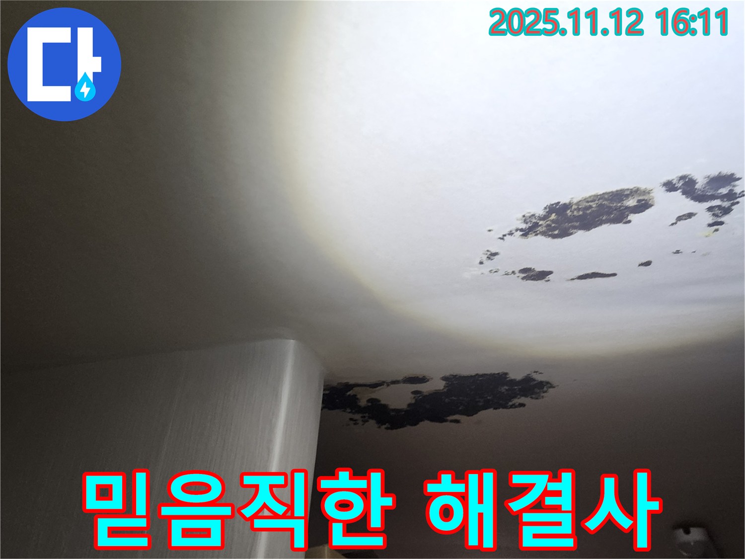 구읍리 누수 - 믿음직한 누수 해결사의 곰팡이 해결