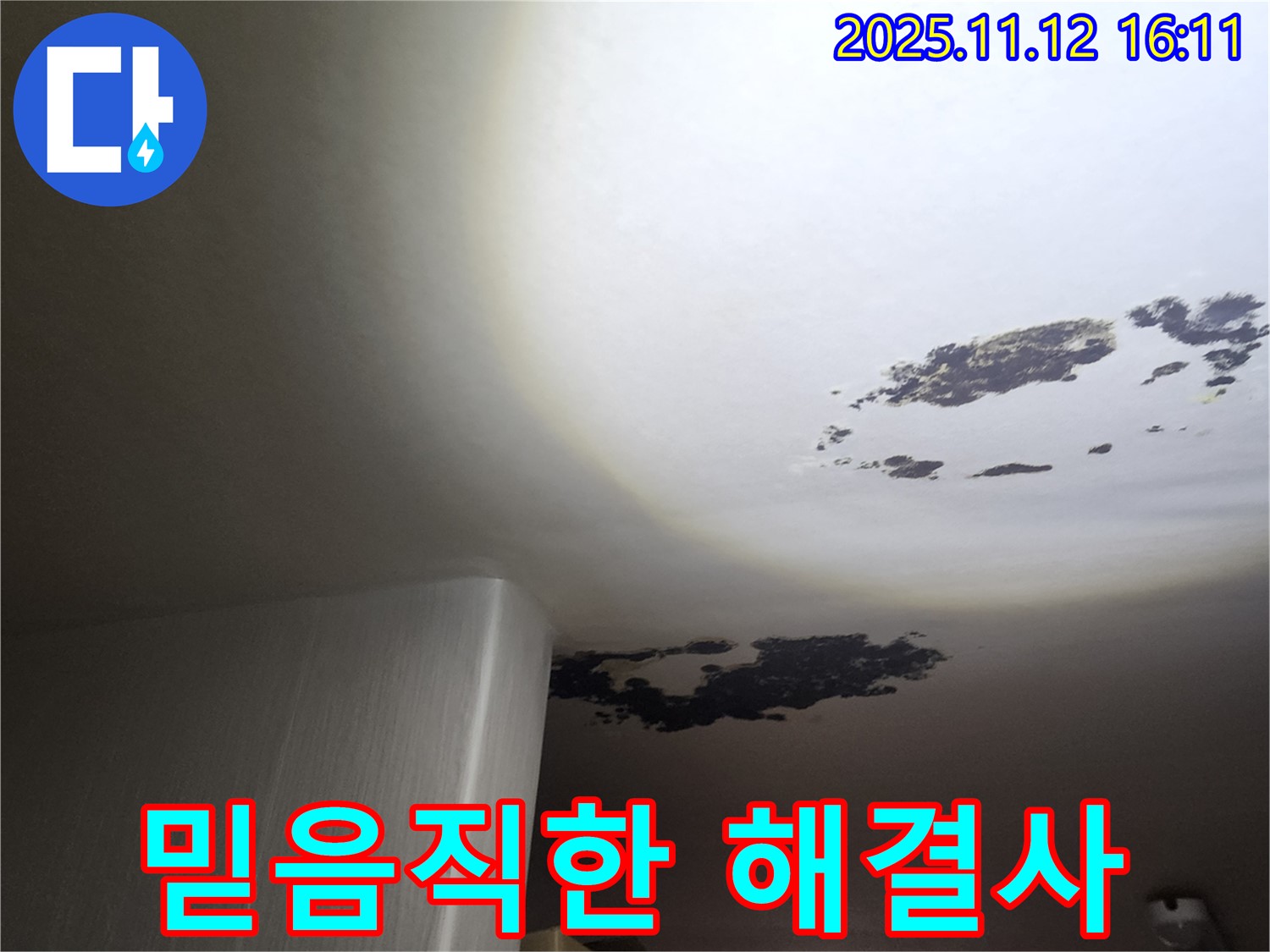 구읍리 누수 - 믿음직한 누수 해결사의 곰팡이 해결