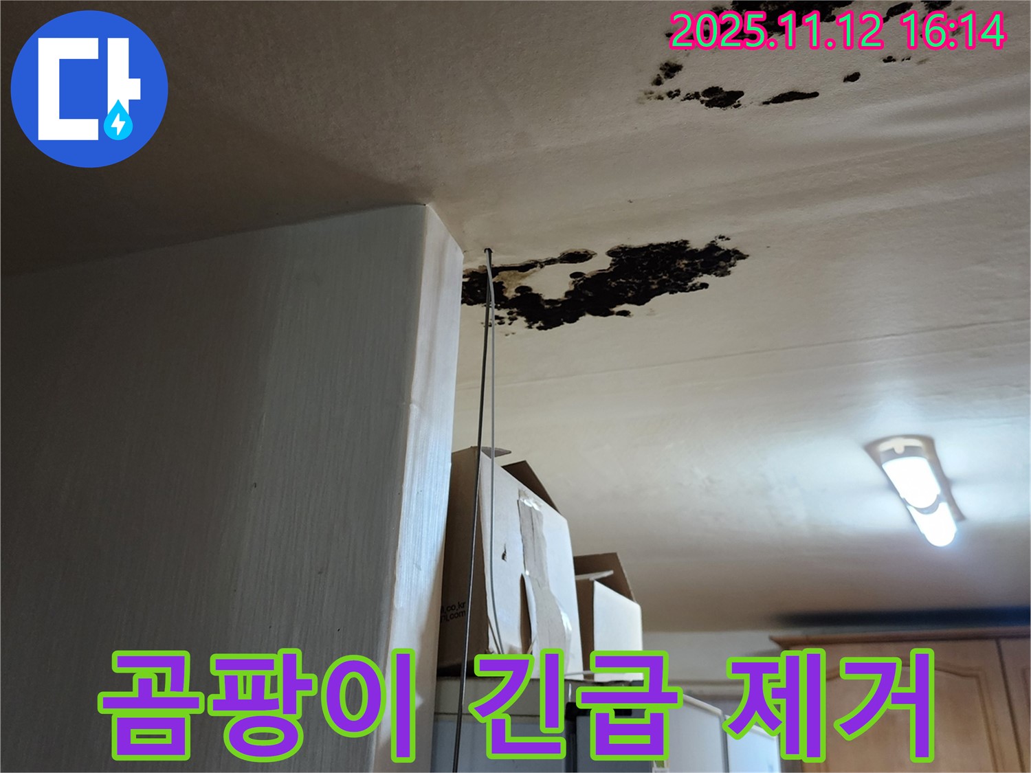 구읍리 주택 누수 - 곰팡이 악취, 긴급 제거가 필요