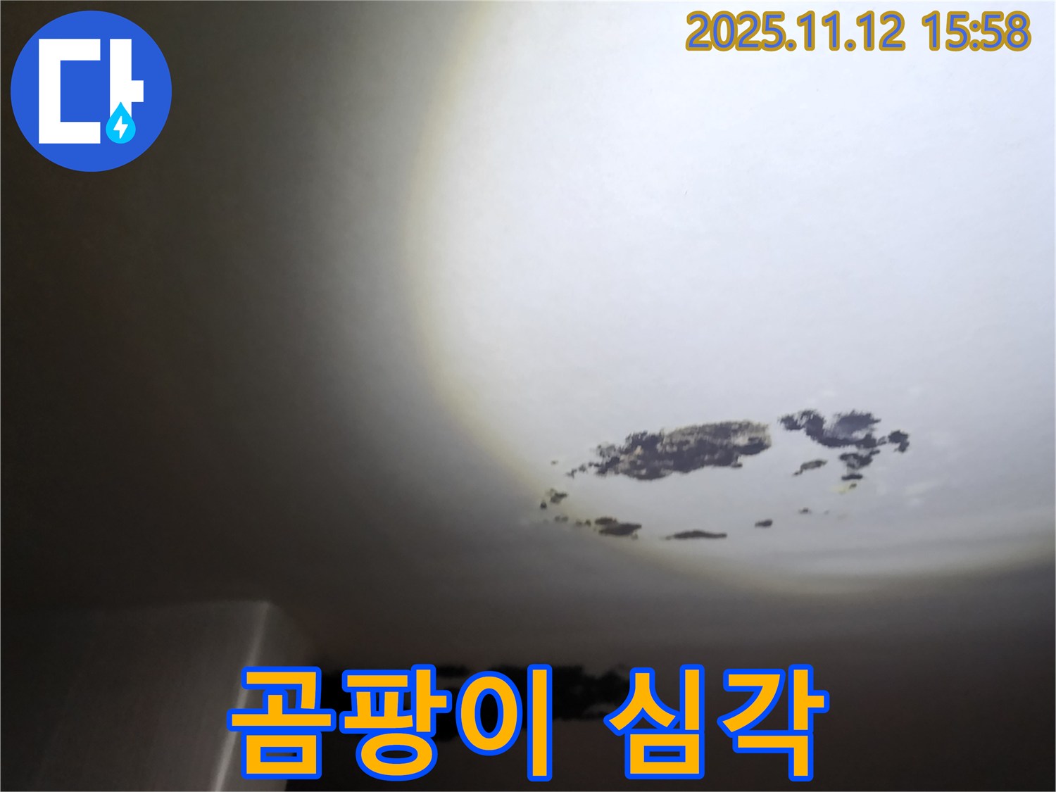 군내면 - 곰팡이가 심하게 핀 천장 누수 현장
