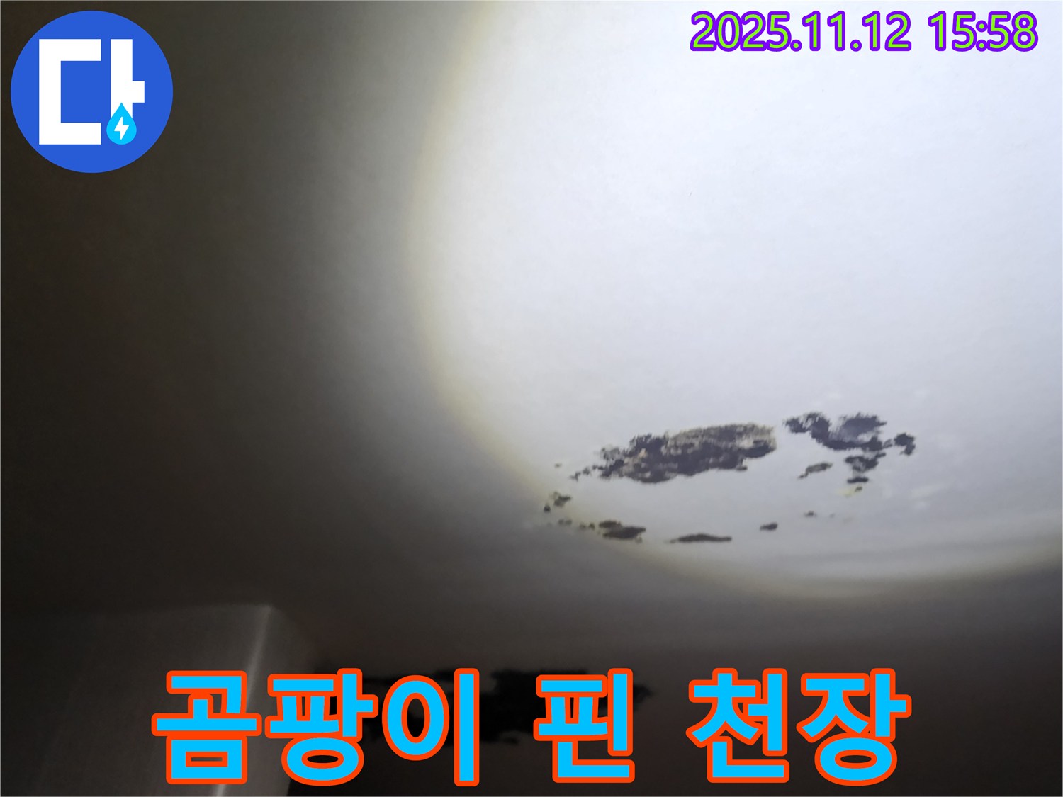 군내면 - 곰팡이가 심하게 핀 천장 누수 현장