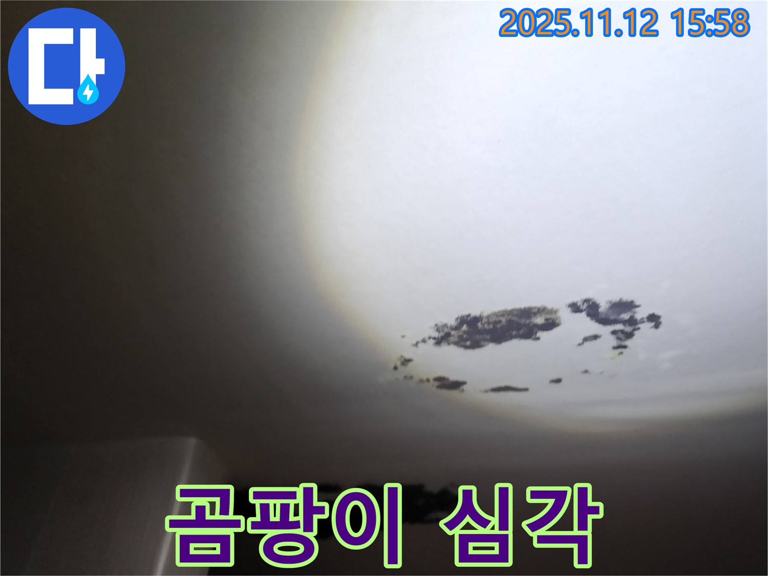 군내면 - 곰팡이가 심하게 핀 천장 누수 현장