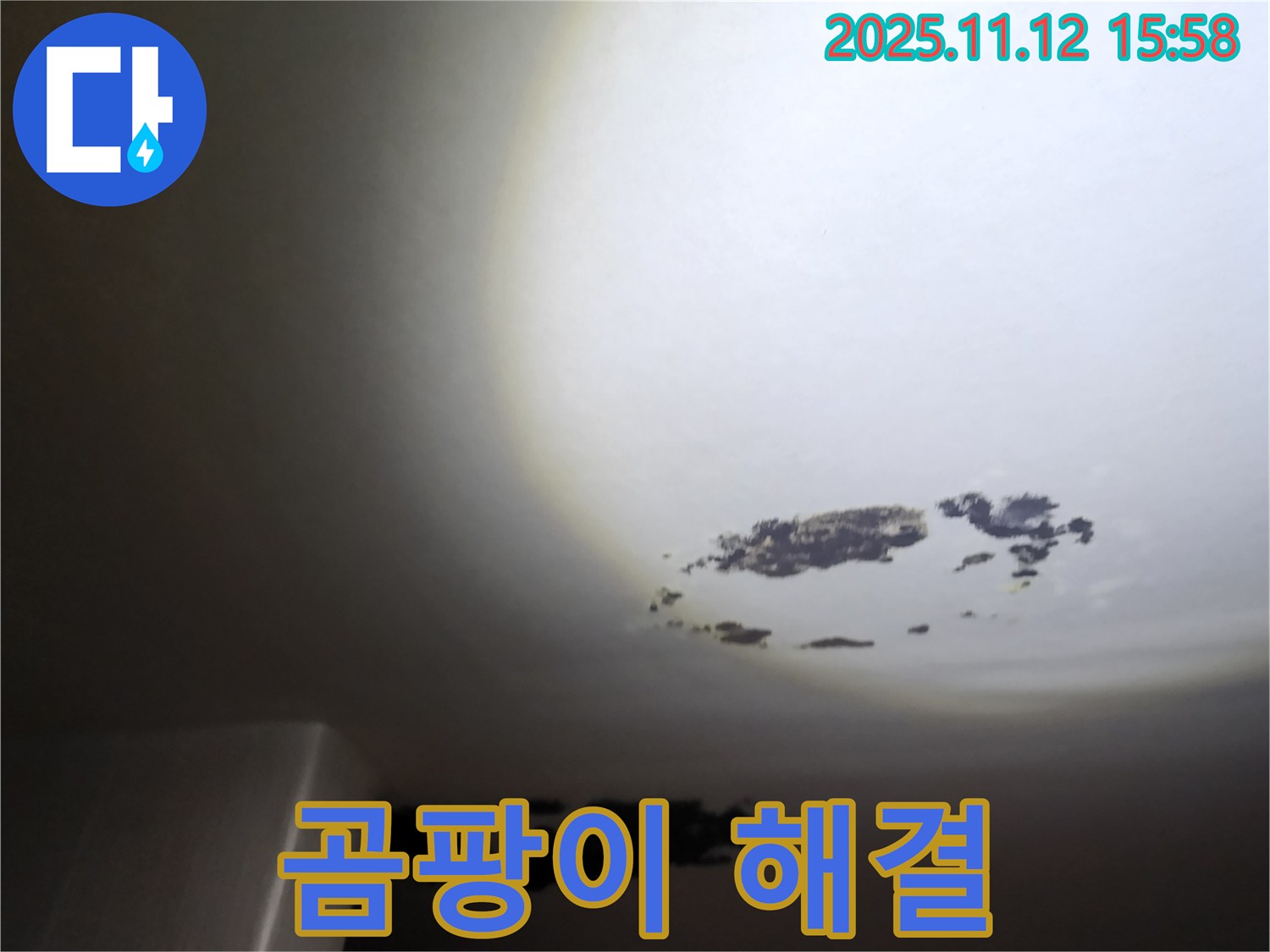 군내면 - 깨끗하게 수리된 천장