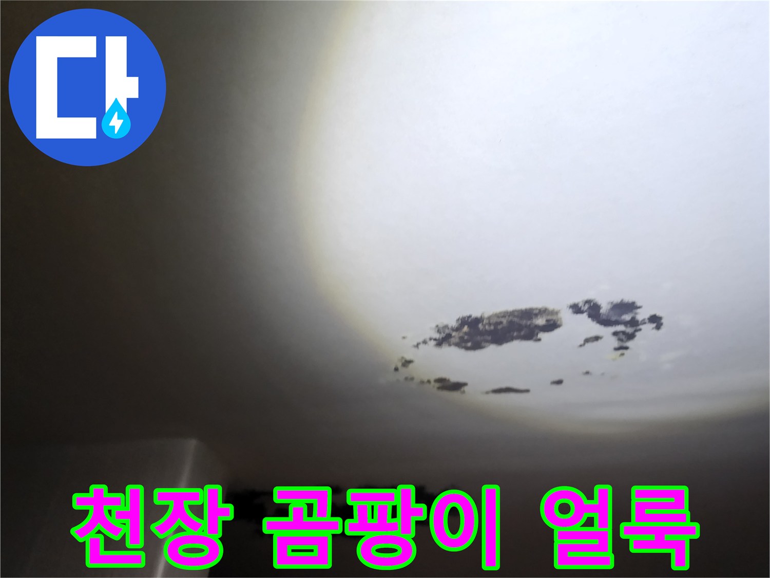 누수로 인해 검게 변한 천장 벽지 부위