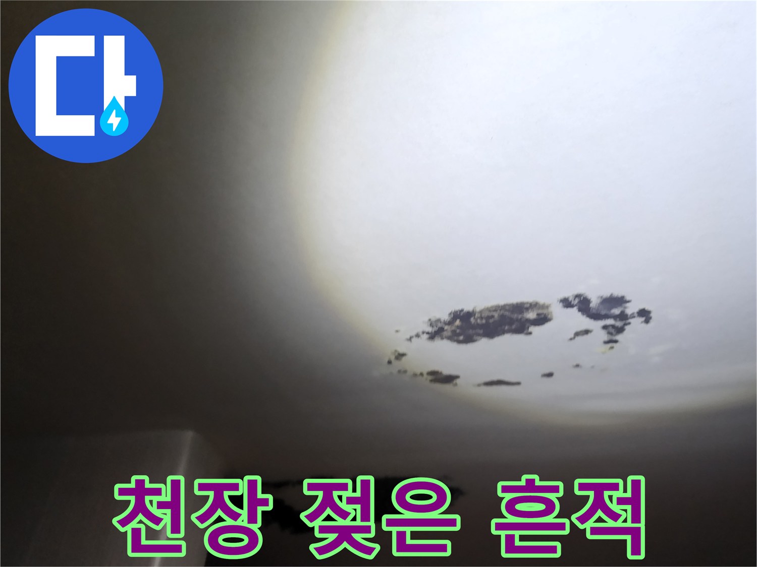 천장 마감재 부위-습기 침투로 인한 검은색 곰팡이 발생