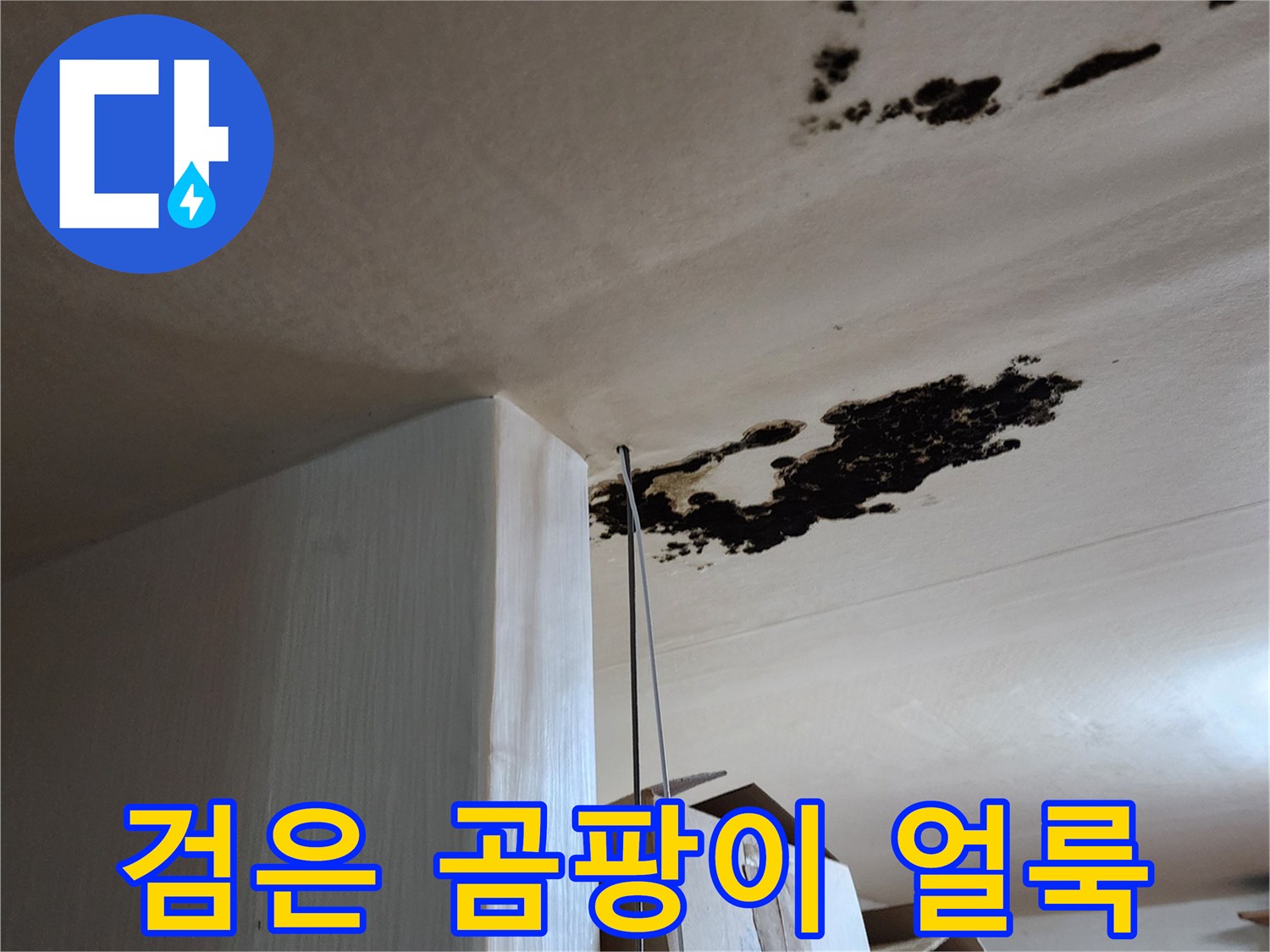 천장 부위에 발생한 검은색 곰팡이와 습기 흔적 현장