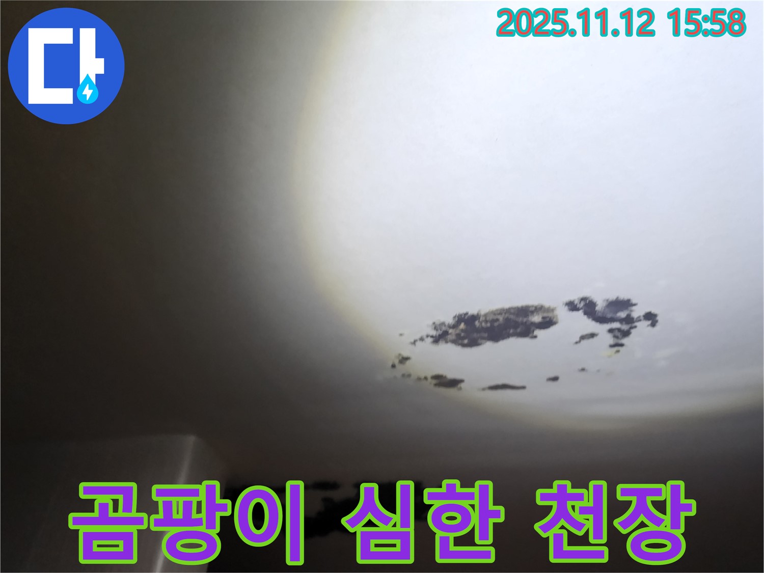 포천 구읍리 - 곰팡이가 심하게 핀 천장 누수 현장
