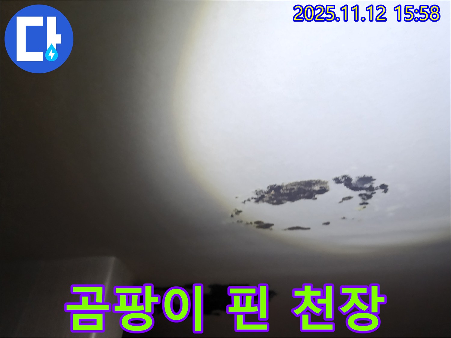 포천 구읍리 - 곰팡이로 변색된 천장 누수 현장