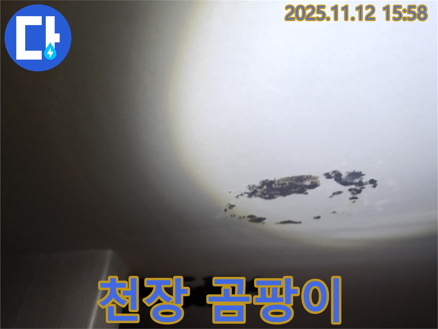 포천시 구읍리 - 천장에 곰팡이가 심하게 핀 누수 현장
