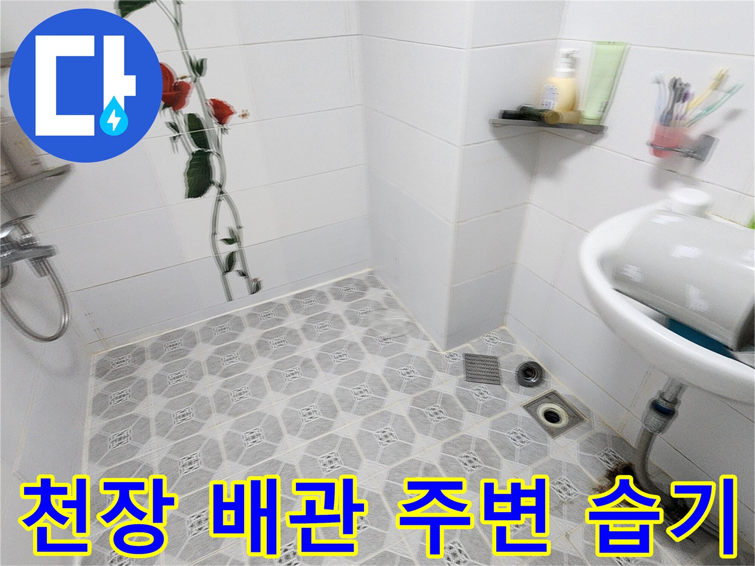화장실-천장-마감재-누수-흔적-조사