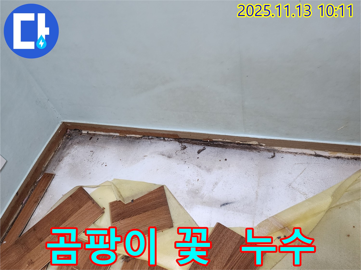 용정리 누수 - 곰팡이 꽃이 핀 누수 현장