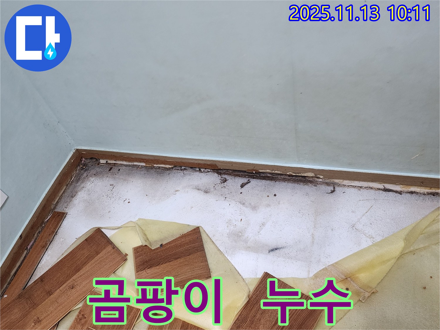 용정리 누수 - 곰팡이 제거 작업