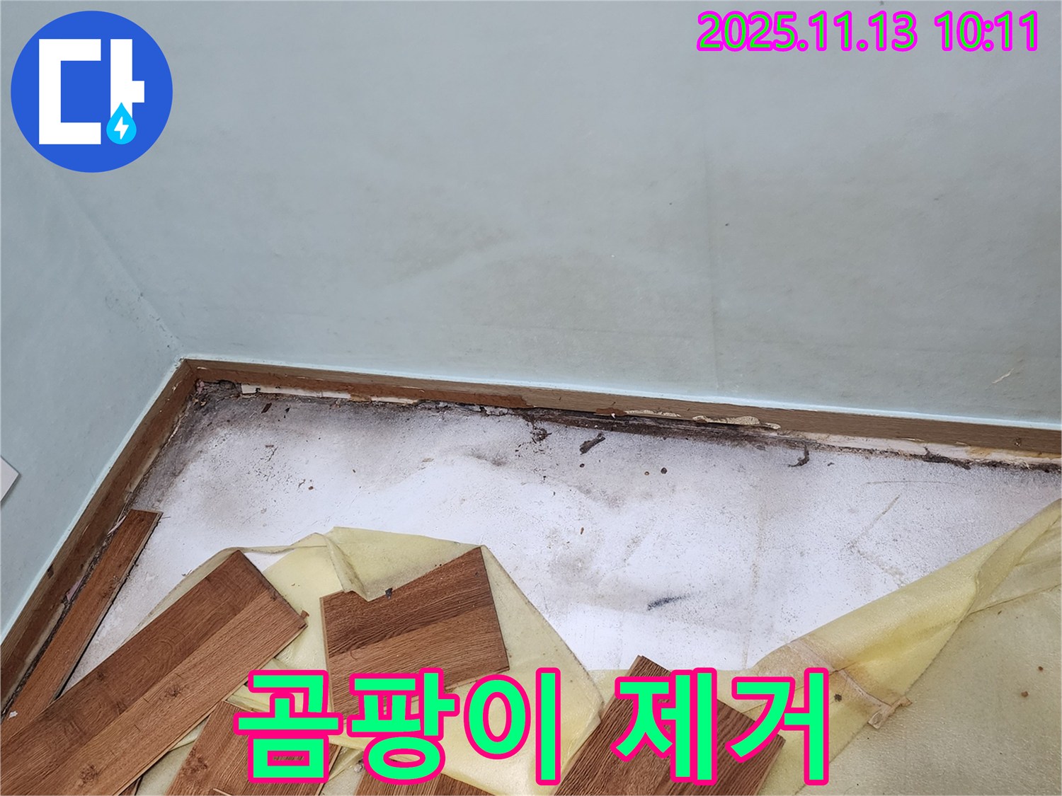 용정리 누수 - 곰팡이 제거 후 쾌적한 공간