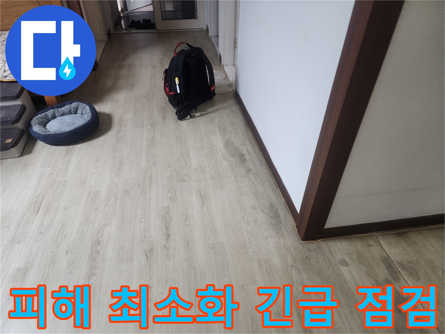 권선동 아파트 누수 긴급 점검 - 피해 최소화