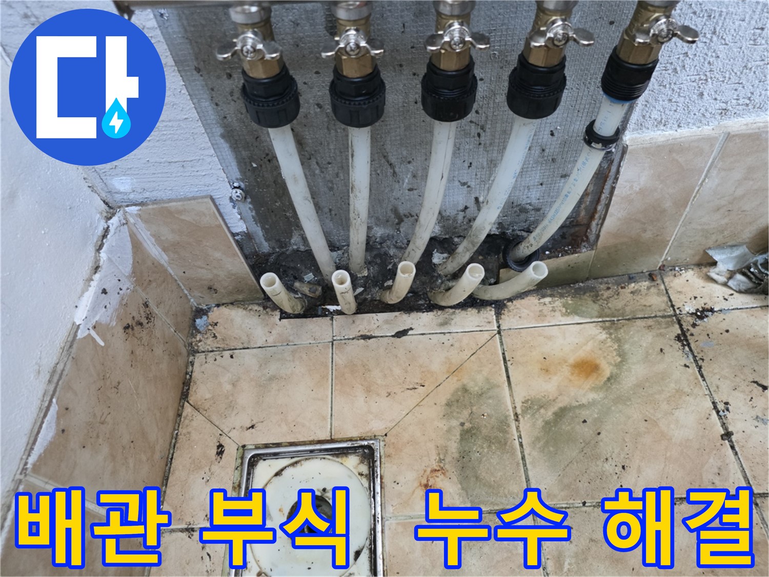 샤인쉐르빌 누수 - 배관 부식으로 인한 누수 해결