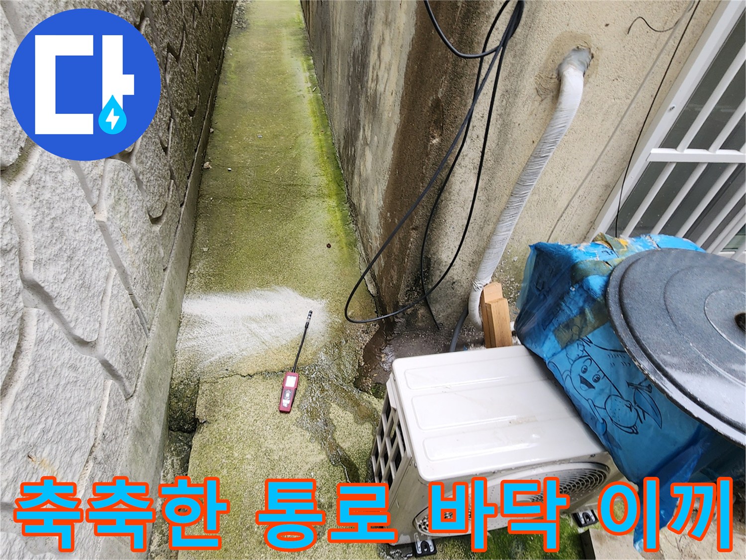 이끼가 낀 건물 사이 좁은 길의 습한 상태