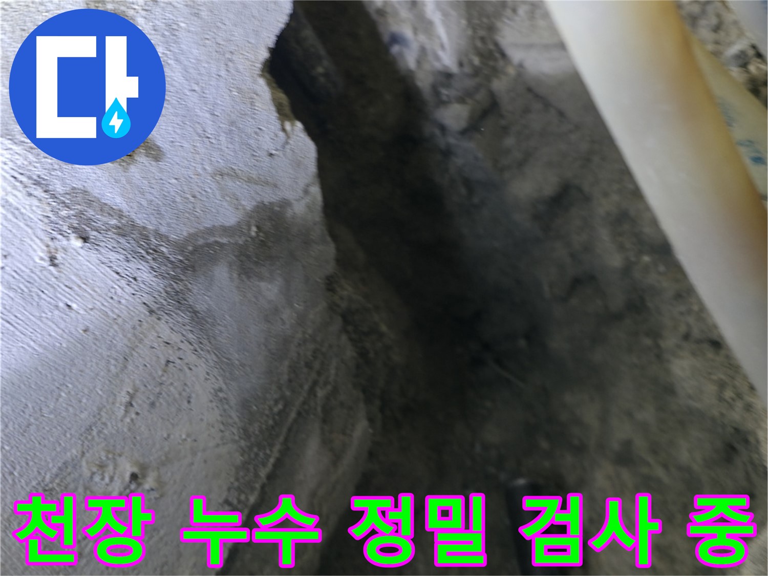 천장 누수 지점을 - 정밀하게 검사하고 있습니다.