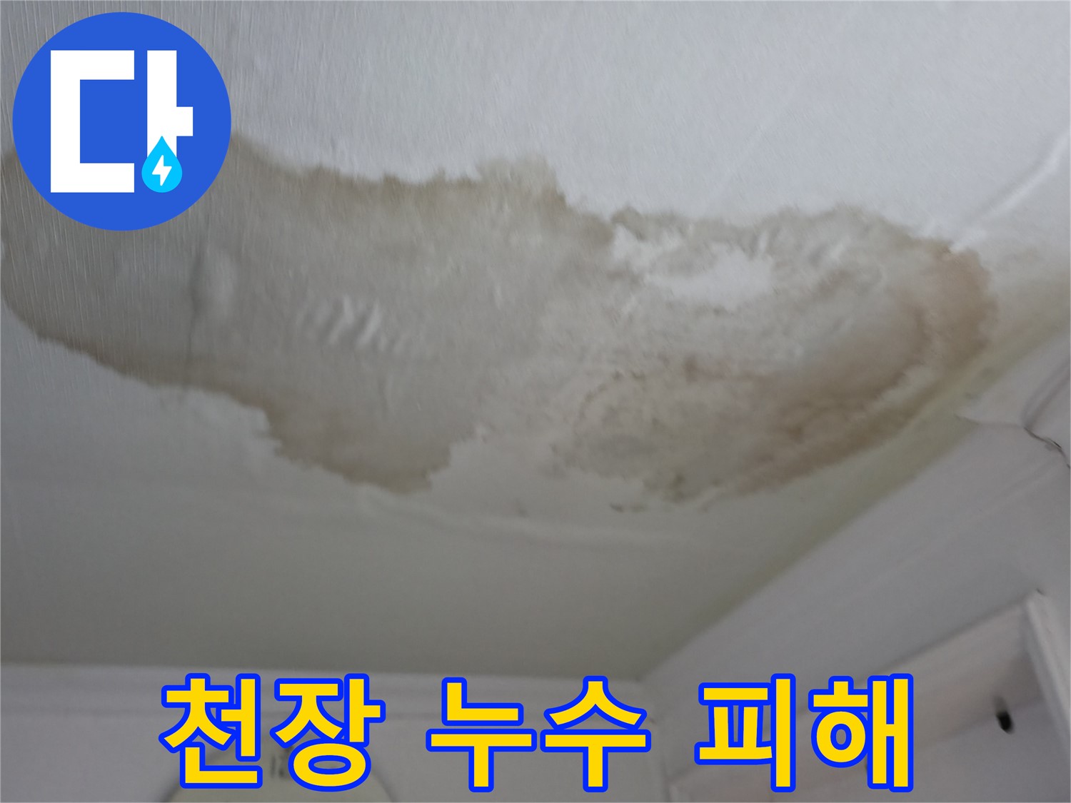 영등포 대림동 아파트 천장 누수 피해 - 심각한 누수