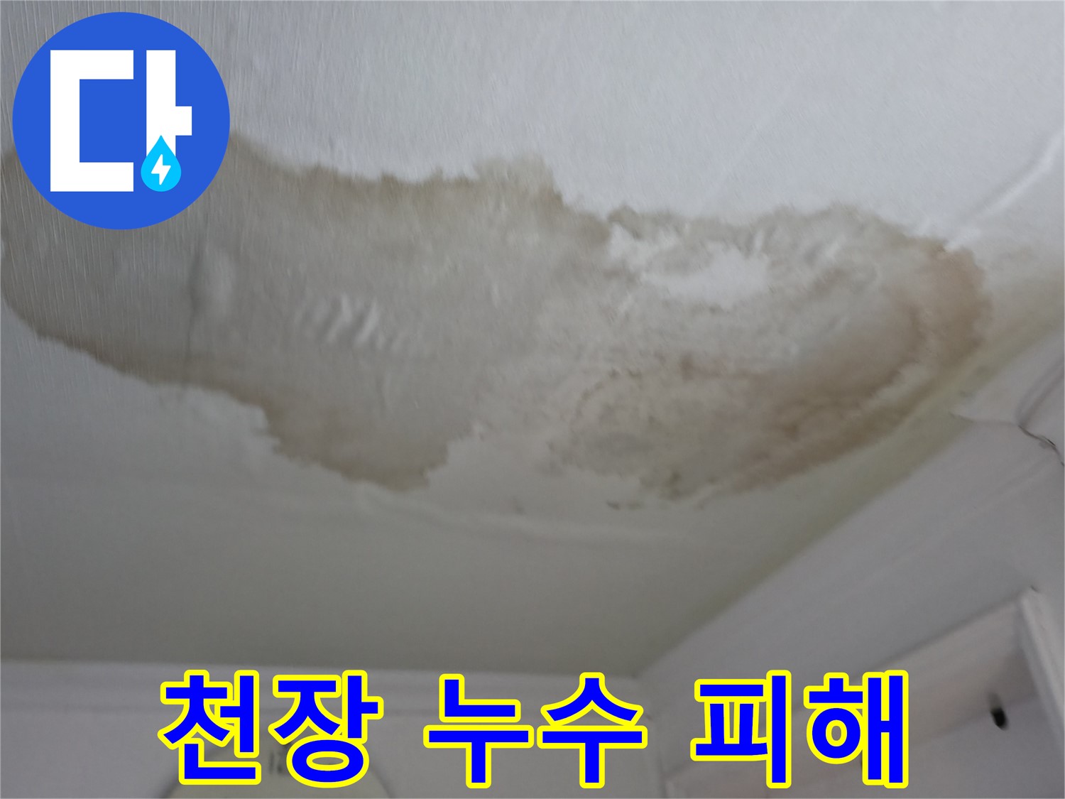 영등포 대림동 아파트 천장 누수 피해 - 누수