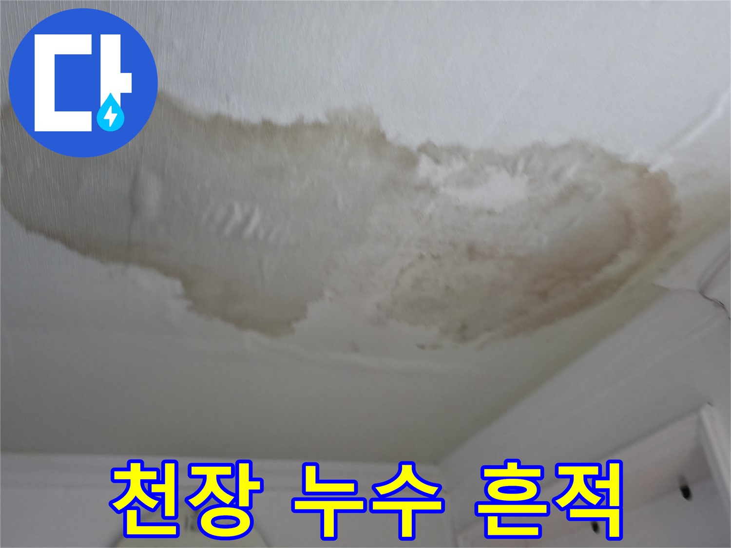 대림동 아파트 천장 누수 흔적 - 젖은 천장