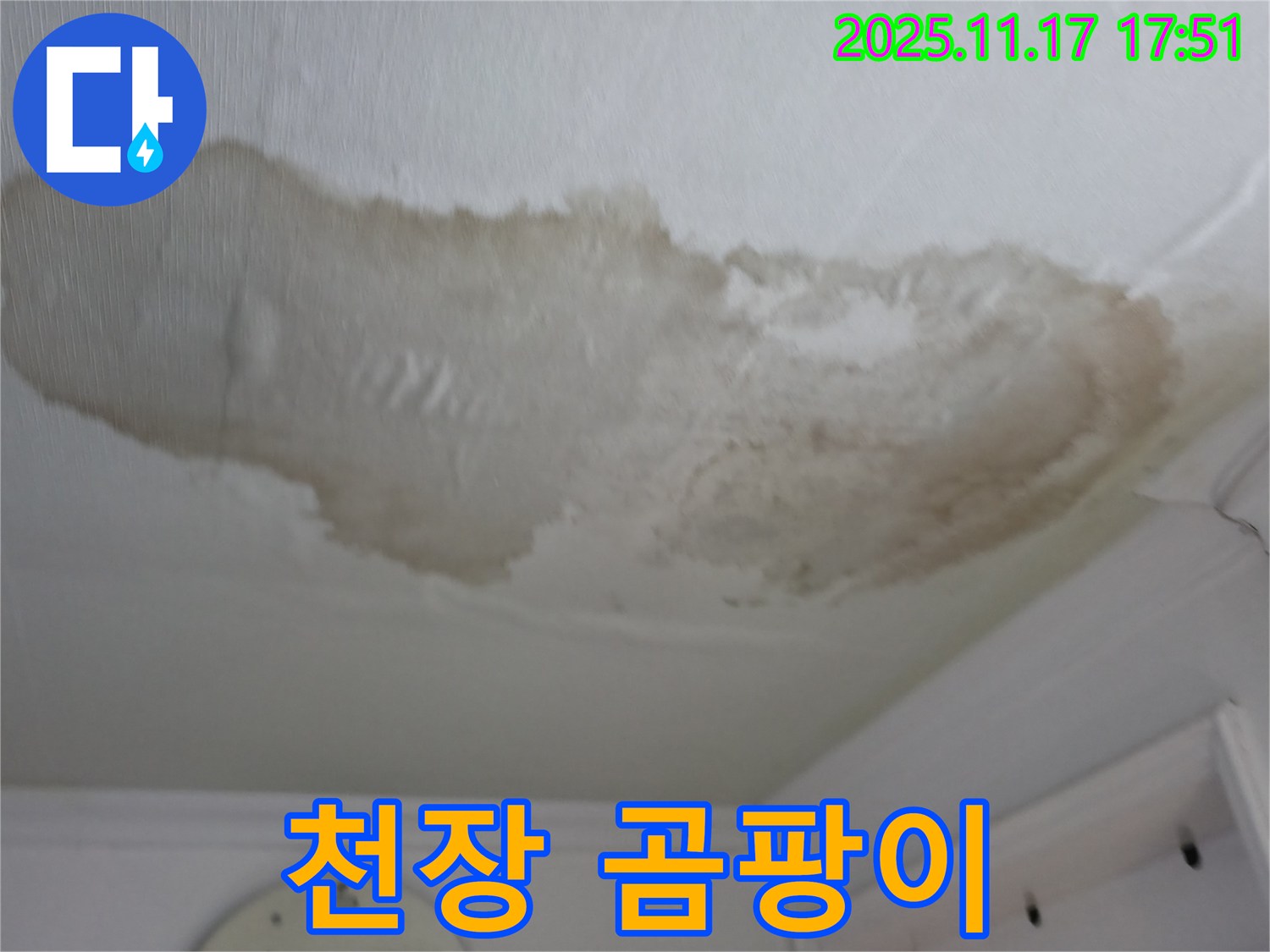 대림동 현대1차 아파트 천장 곰팡이 - 누수 흔적