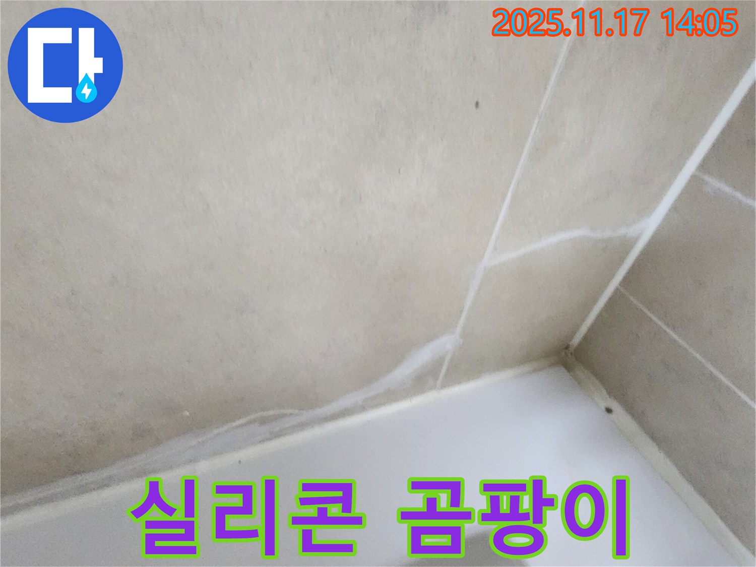 욕조 실리콘 곰팡이 - 누수 위험 신호, 간과하지 마세요