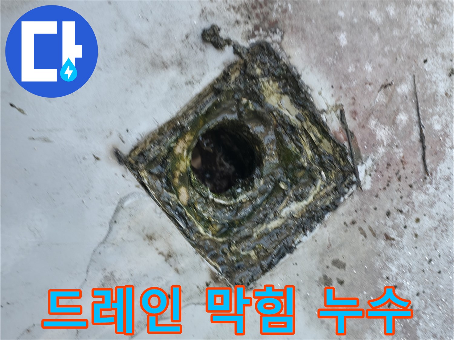 독산동 옥상 드레인 막힘으로 인한 누수 - 신속한 해결 약속