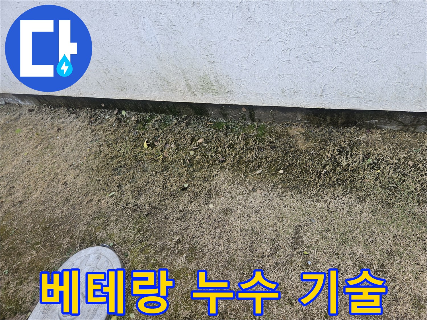 이천 아리역로 누수 - 베테랑 기술로 문제 해결