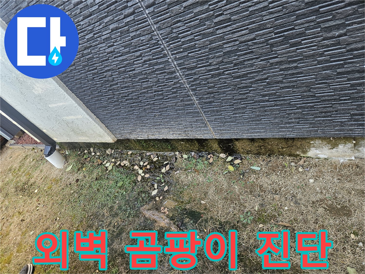 이천시 마장면 주택 외벽 곰팡이 - 누수 의심 진단 - 곰팡이는 누수의 신호