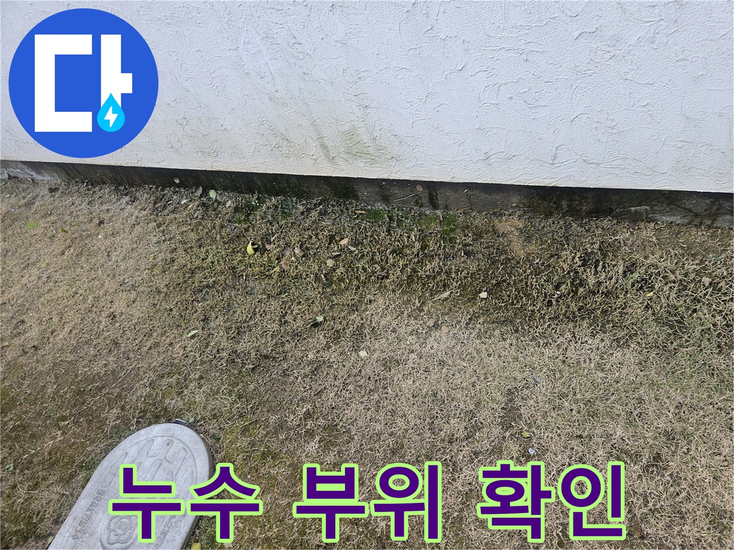 이천 백사면 도립리 누수 - 정확하게 찾아낸 누수 부위