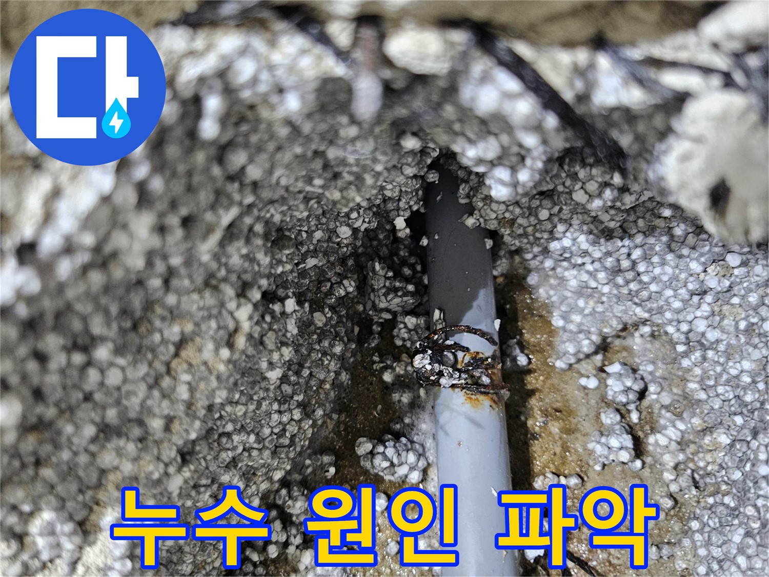 꼼꼼한 점검으로 누수 원인 완벽 파악 - 이천 아리역로